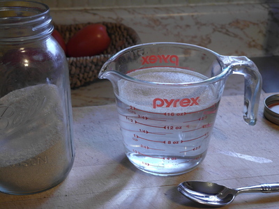 Yeast in Water