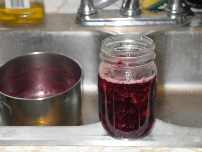 Pur fruit preserves into jar