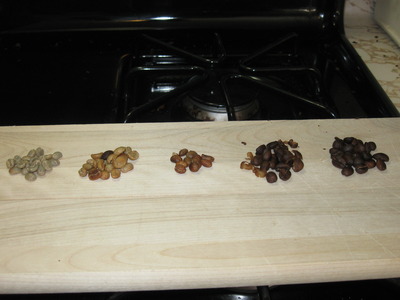 Beans at different roast stages