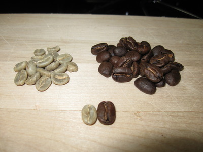 Coffee Bean Comparison